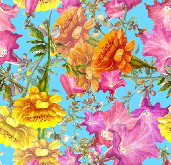 Petunia és körömvirág virág — Stock Fotó