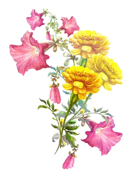 Pembe Petunya ve sarı kadife çiçeği — Stok fotoğraf