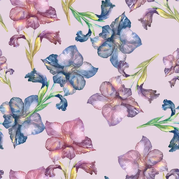 Purple Gladiolus seamless pattern — Stock Photo, Image