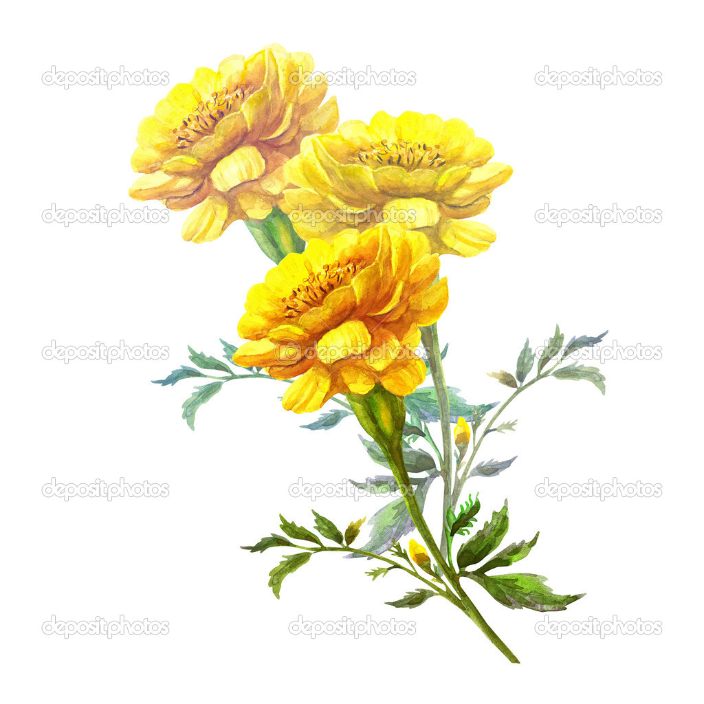 Yellow flowers Marigold Garland
