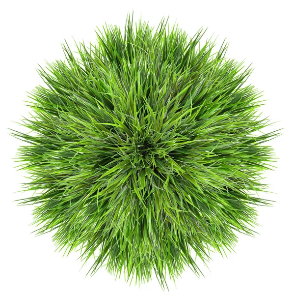 Зеленый шар грасса — стоковое фото