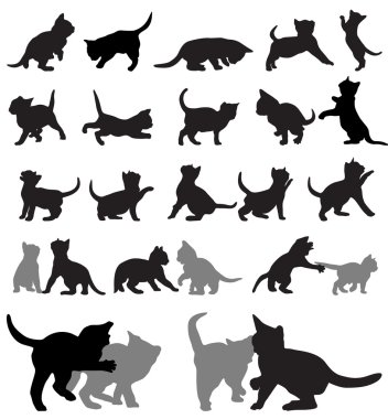 yavru kedi silhouettes