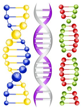 DNA op wit