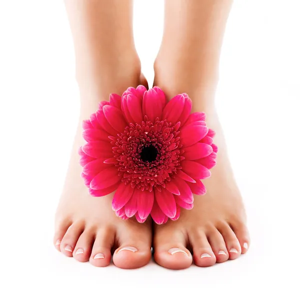 Female feet Stock Picture