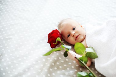 Bebek ve gül