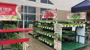 Augusta, Ga USA - 02: 18 21: Lowes perakende satış tezgahları ve yağmur altındaki bitkiler