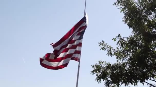 Amerykańska Flaga Drzewa Wiejące Wietrze Pięknym Tle Niebieskiego Nieba — Wideo stockowe
