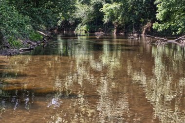 Yazın Georgia kırsalındaki ormanda huzurlu nehir manzarası