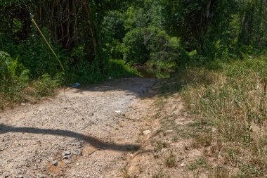Georgia kırsalında küçük toprak yol ve çöpler.