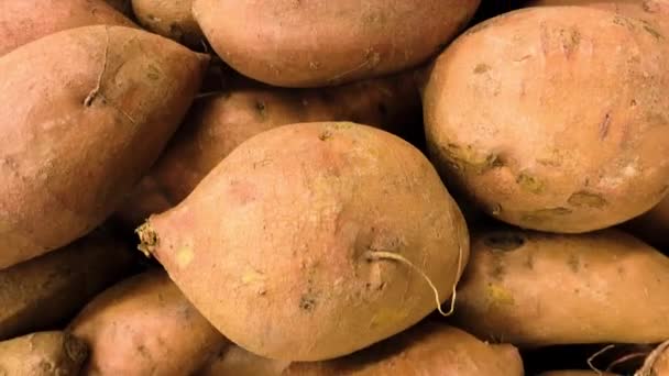 Cerrar Cacerola Una Exhibición Batatas Crudas — Vídeo de stock