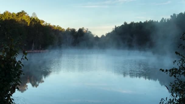 Nebel Wälzt Sich Von Einem Kleinen See Schnell Bewegender Nebel — Stockvideo