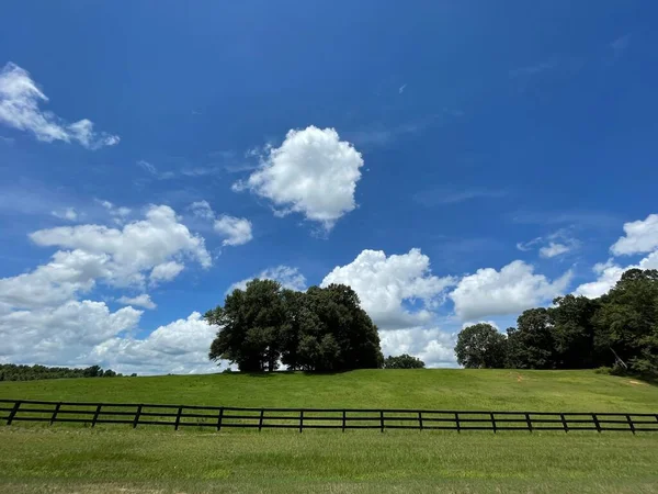 Hermosa Granja Pastos Cerca Madera Marrón — Foto de Stock