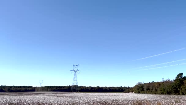 Pan Plantáže Bavlny Silové Věže Jasná Modrá Obloha — Stock video