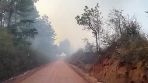 Pov Sucio Parabrisas Conduciendo Camino Tierra Través Incendio Forestal — Vídeos de Stock