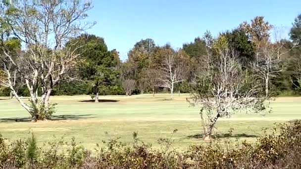 Pan Golf Course Clear Blur Sky Day Fal — Αρχείο Βίντεο