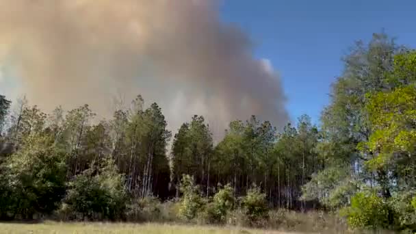 Pov Close Street View Von Großen Rauchwolken Von Einem Waldbrand — Stockvideo