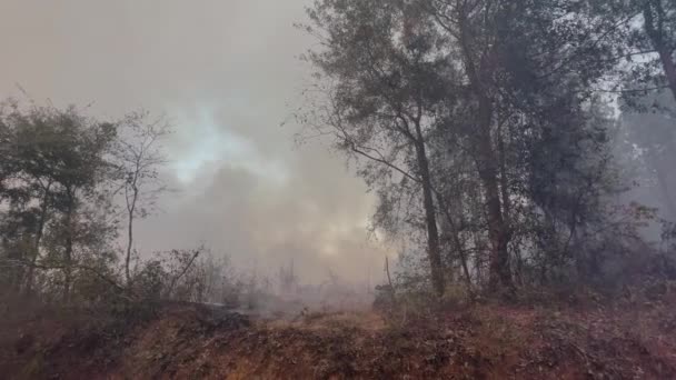 Toprak Bir Yola Orman Yangınından Çıkan Büyük Duman Bulutlarına Yakından — Stok video