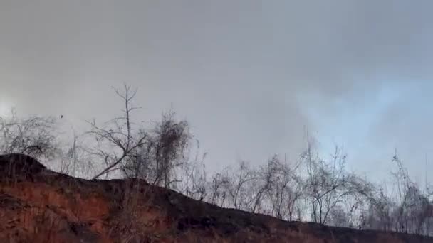 Cerrar Vista Panorámica Camino Tierra Humo Nubes Incendio Forestal Controlado — Vídeo de stock