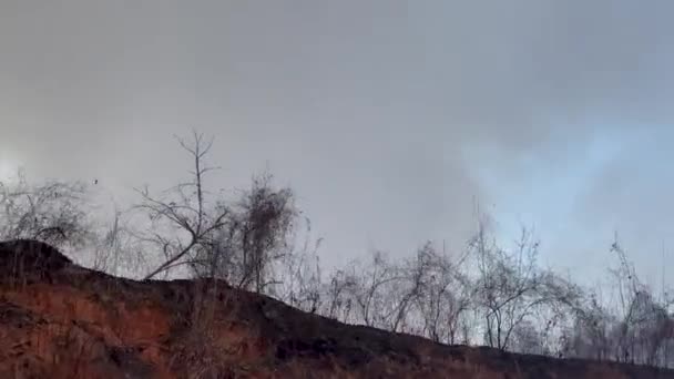 Close Pan Uitzicht Van Een Onverharde Weg Rook Wolken Van — Stockvideo