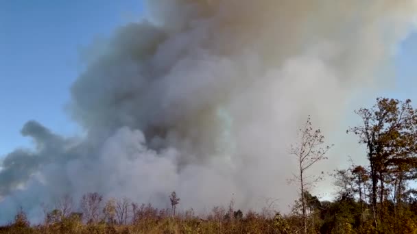 Kippen Von Rauchwolke Und Waldbrandrauch — Stockvideo
