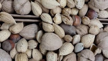 Tatiller için toplu fındık gösterisi.