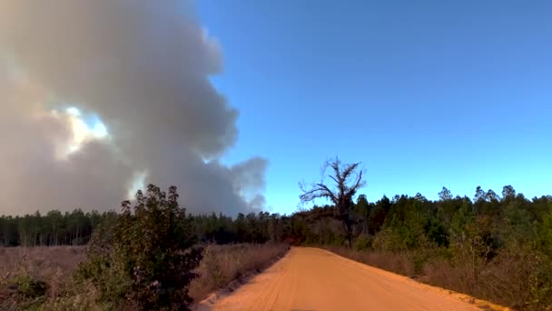 未舗装の道路とジョージア州の森林火災による大きな煙の雲のパンビューを閉じます — ストック動画