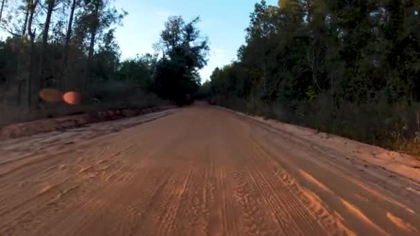 Pov Fpv Guida Una Lunga Strada Sterrata Raccapricciante Georgia Rurale — Video Stock