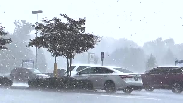 Augusta Usa Heavy Rain Downpour Retail Shopping Center Parking Lot — Stock Video