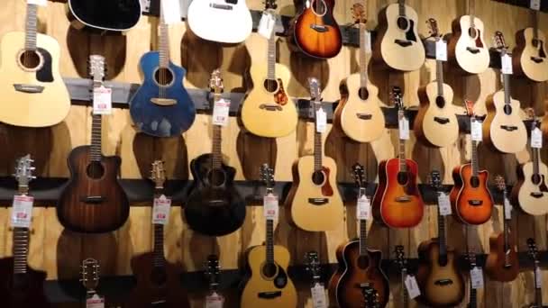 Augusta Usa Guitar Center Augusta Innenwand Aus Akustischen Gitarren — Stockvideo