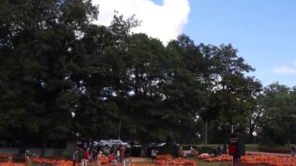 Augusta Usa Kilisedeki Balkabağı Tarlası Lasında Insanlar Belair Yolu Nda — Stok video