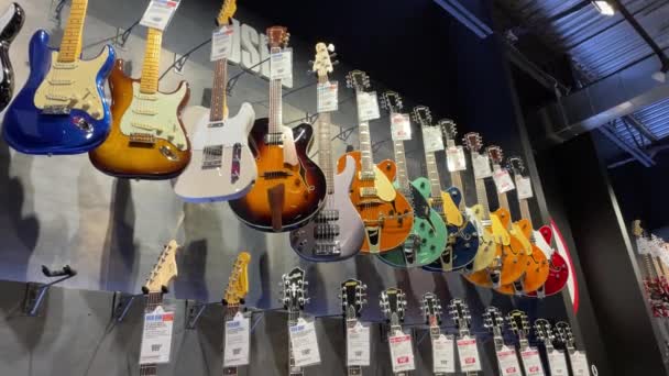 Augusta Usa Guitar Center Augusta高価なギター — ストック動画