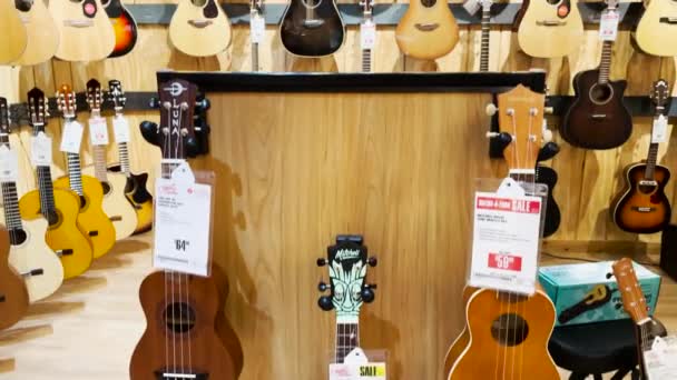 Augusta Usa Guitar Center Augusta Akoestische Gitaren — Stockvideo