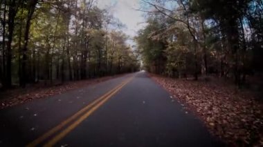 POV, sonbaharda kırsal bir yolda yol kenarını somunlarla kaplıyor. 