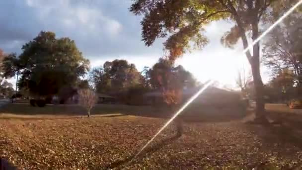 Hephzibah États Unis Panorama Automne Vieilles Maisons Briques Ensoleillées Travers — Video