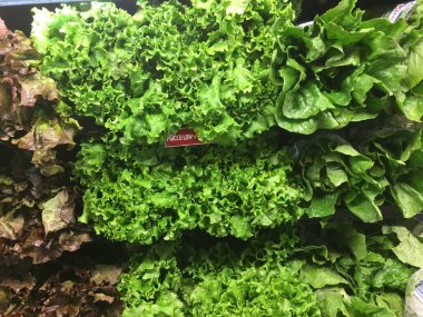 Rafta asılı duran çeşitli marulların başları.