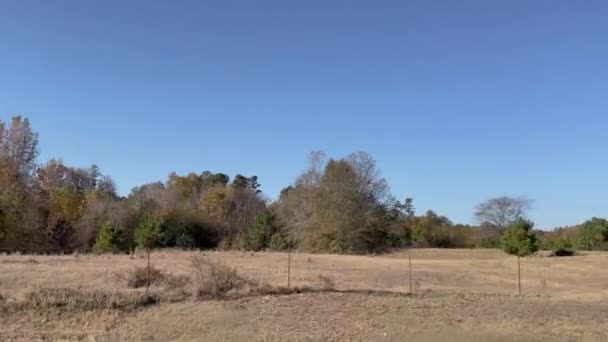 Pan Bosques Pastos Con Fardos Heno Georgia Rural — Vídeos de Stock
