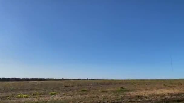 田舎の美しい澄んだ青い空のオープンカントリーランドと森のパングルジア — ストック動画