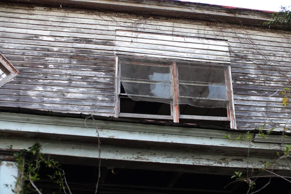 Vieille Effrayant Manoir Abandonné Bois Envahi Dans Les Zones Rurales — Photo