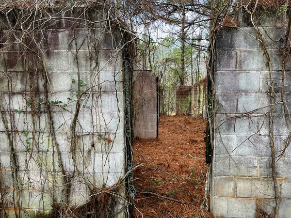 Old Historic Abandoned Building Country Rural Georgia — Stockfoto