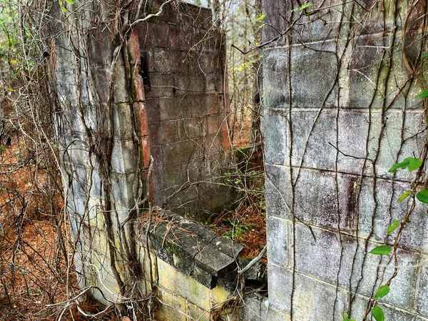 ジョージア州の田舎にある古い歴史的放棄された建物 — ストック写真