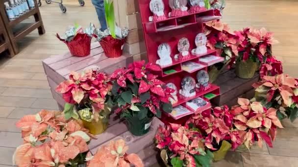 Augusta Usa Fresh Market Interior Holidays Floral Display — Stockvideo