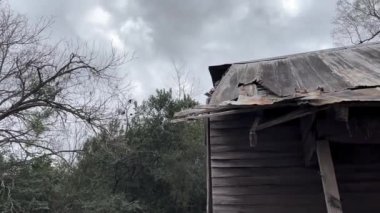 Ürkütücü eski bir ahşap bina ve ağacın tepesindeki akbabalar.