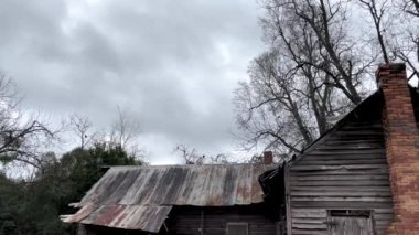 Bulutlu bir günde, ağaçların tepesindeki akbabalar hızlı hareket ediyor.