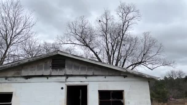 Verlaten Oud Gebouw Dak Gieren Hoog Een Boom Winter — Stockvideo