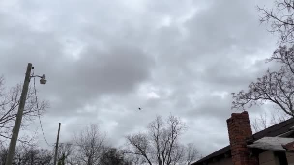 Inclinación Del Viejo Edificio Abandonado Oxidado Techo Estaño Buitres Invierno — Vídeo de stock