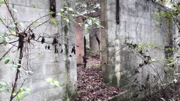 Pan Old Spooky Overgrown Block Ruins Forest Forgotten View Doors — Stockvideo