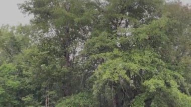 Kırsal Gürcistan 'da yağmur damlaları bulutlara vuruyor.