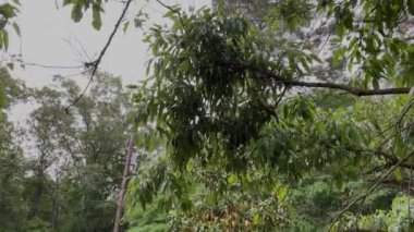 Kırsal Gürcistan 'da gökyüzünde bulutlara yağmur tepsisi ile hafif yağmur yağar