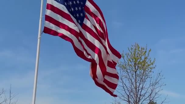 Tilt American Flag Blowing Wind Beautiful Blue Sky Day — Video