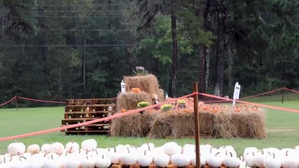 Grovetown Usa Zlikwidowano Zbiórkę Pieniędzy Białe Dynie Kościele Powodu Deszczu — Wideo stockowe